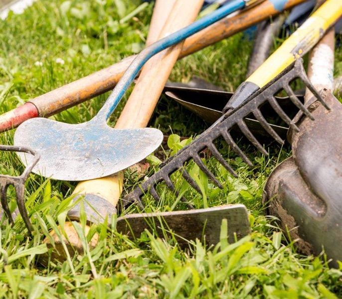 Garden tools sitting on a lawn