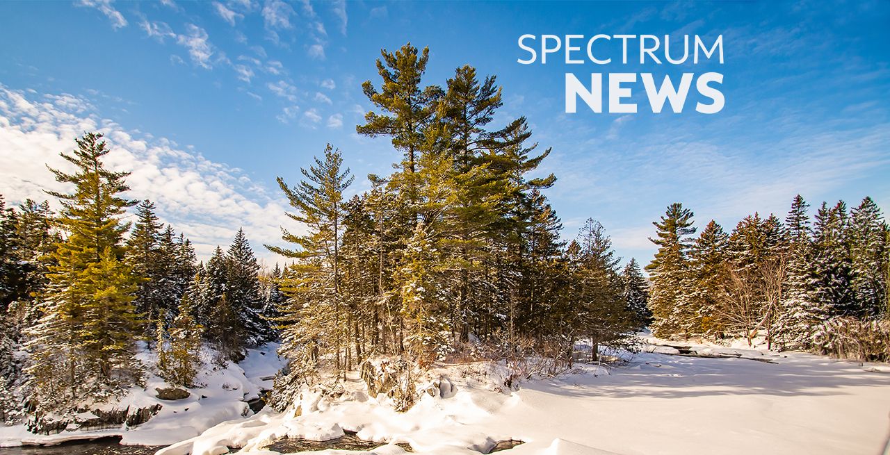 Generic Maine woods winter scene