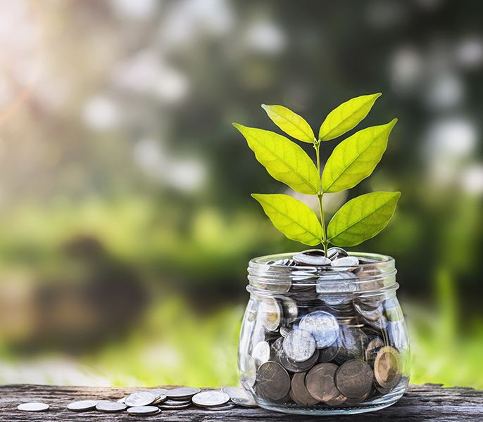 Plant sprouting out of a jar of coins